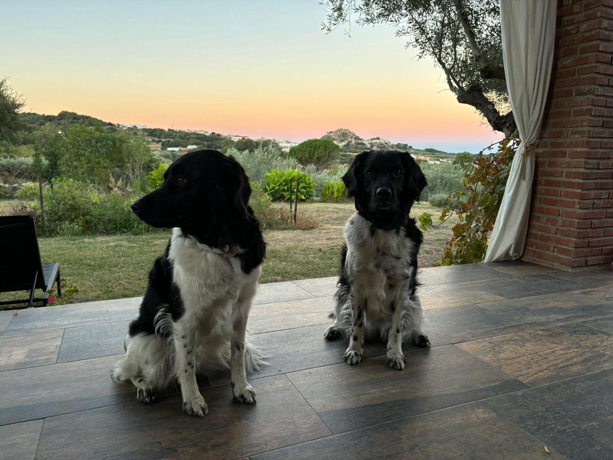 Casa Rural La Recuera Montánchez Eksteriør billede